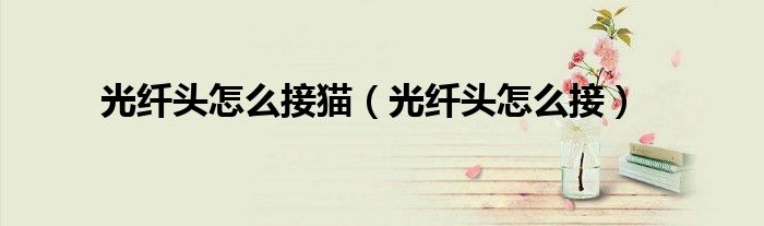 光纤头怎么接猫（光纤头怎么接）