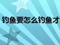 钓鱼要怎么钓鱼才上钩的快（钓鱼要怎么钓）