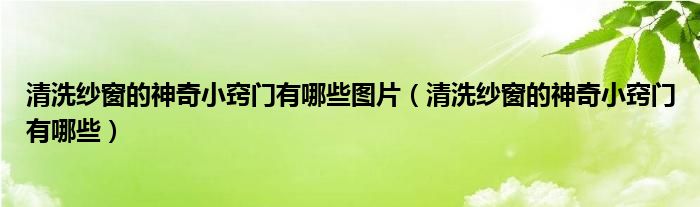 清洗纱窗的神奇小窍门有哪些图片（清洗纱窗的神奇小窍门有哪些）