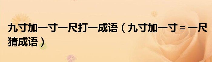 九寸加一寸一尺打一成语（九寸加一寸＝一尺猜成语）
