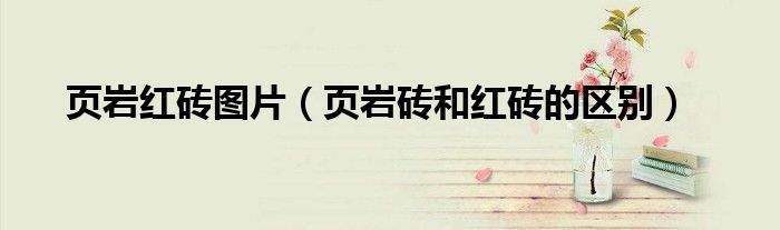 页岩红砖图片（页岩砖和红砖的区别）