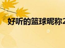 好听的篮球昵称2个字（好听的篮球昵称）