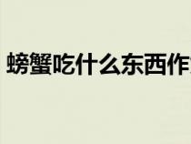 螃蟹吃什么东西作为食物（螃蟹吃什么东西）