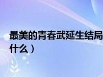 最美的青春武延生结局是什么呢（最美的青春武延生结局是什么）