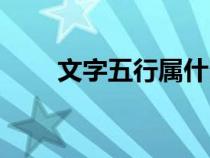 文字五行属什么（静字五行属什么）