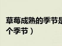 草莓成熟的季节是几月份（草莓成熟季节是哪个季节）