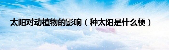 太阳对动植物的影响（种太阳是什么梗）