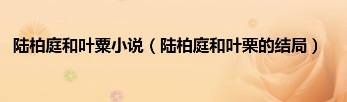 陆柏庭和叶粟小说（陆柏庭和叶栗的结局）