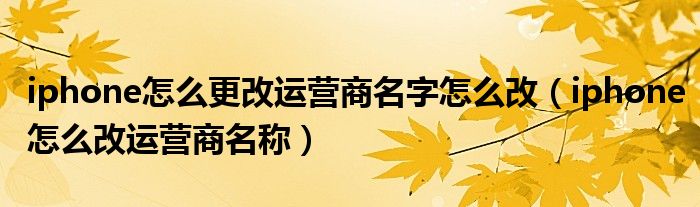 iphone怎么更改运营商名字怎么改（iphone怎么改运营商名称）