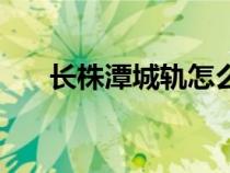 长株潭城轨怎么买票（城轨怎么买票）