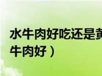 水牛肉好吃还是黄牛肉好吃（水牛肉好还是黄牛肉好）