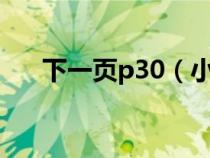 下一页p30（小米mix2和mix2s区别）