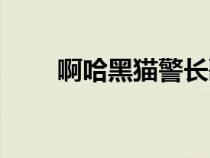啊哈黑猫警长歌词（黑猫警长歌词）