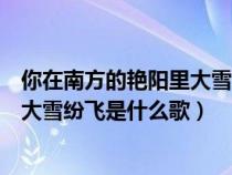 你在南方的艳阳里大雪纷飞是什么歌曲（你在南方的艳阳里大雪纷飞是什么歌）
