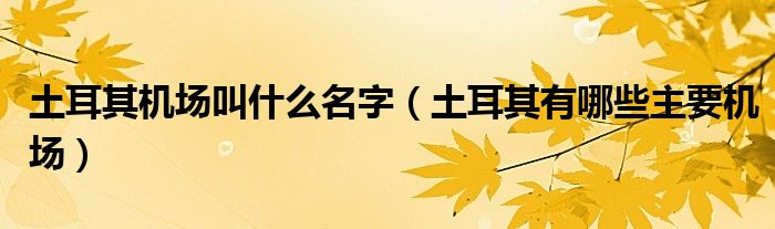 土耳其机场叫什么名字（土耳其有哪些主要机场）