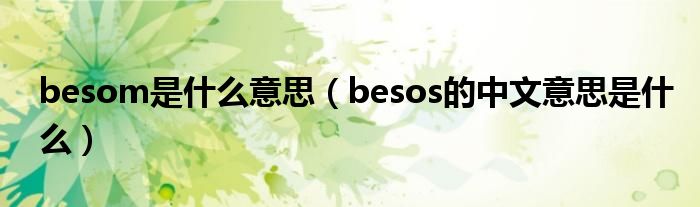 besom是什么意思（besos的中文意思是什么）