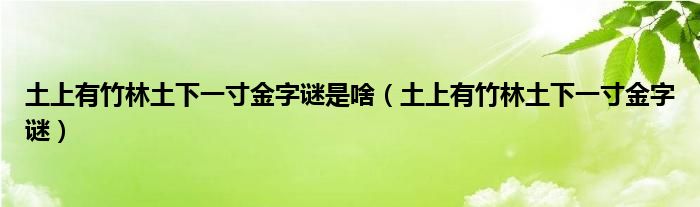 土上有竹林土下一寸金字谜是啥（土上有竹林土下一寸金字谜）