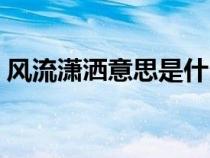 风流潇洒意思是什么生肖（风流潇洒的意思）
