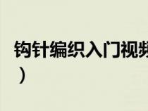 钩针编织入门视频教程（钩针编织教程初学者）