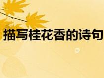 描写桂花香的诗句（描写桂花香的唯美句子）