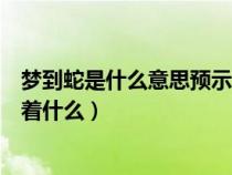 梦到蛇是什么意思预示着什么预兆（梦到蛇是什么意思预示着什么）