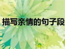 描写亲情的句子段落摘抄（描写亲情的句子）