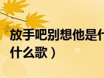 放手吧别想他是什么歌原唱（放手吧别想他是什么歌）