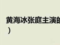 黄海冰张庭主演的电视剧（张庭主演的电视剧）