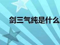 剑三气纯是什么职业（剑三气纯是什么）
