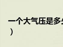 一个大气压是多少帕?（一个大气压是多少帕）