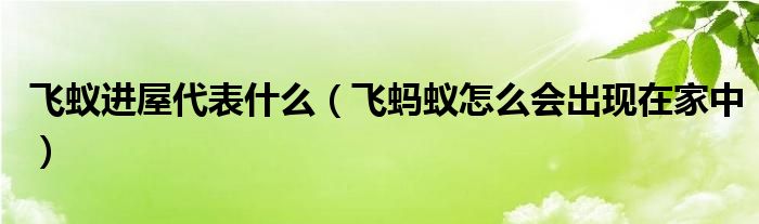飞蚁进屋代表什么（飞蚂蚁怎么会出现在家中）