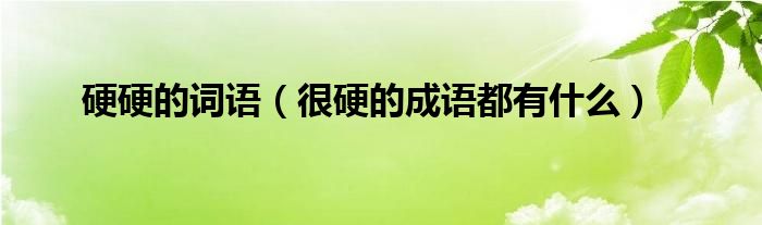 硬硬的词语（很硬的成语都有什么）