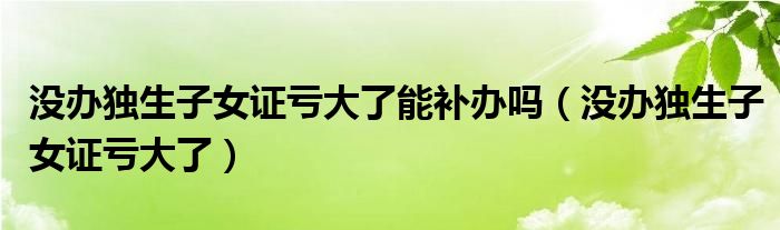 没办独生子女证亏大了能补办吗（没办独生子女证亏大了）