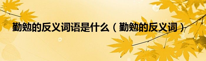 勤勉的反义词语是什么（勤勉的反义词）