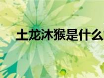土龙沐猴是什么意思（土龙沐猴的由来）