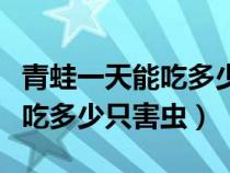 青蛙一天能吃多少只害虫的资料（青蛙一天能吃多少只害虫）