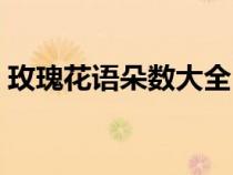 玫瑰花语朵数大全（玫瑰花语每朵代表什么）