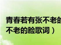 青春若有张不老的脸歌词是什么（青春若有张不老的脸歌词）