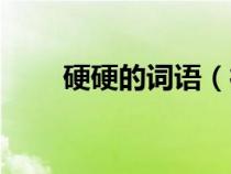 硬硬的词语（很硬的成语都有什么）