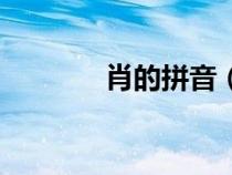 肖的拼音（惟妙惟肖的拼音）