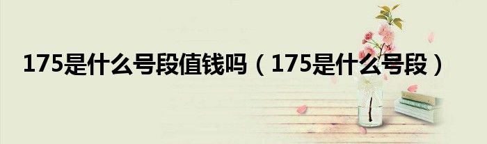 175是什么号段值钱吗（175是什么号段）