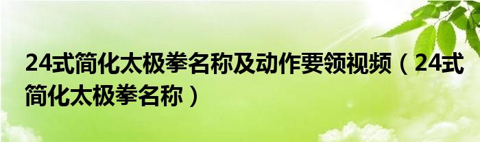 24式简化太极拳名称及动作要领视频（24式简化太极拳名称）