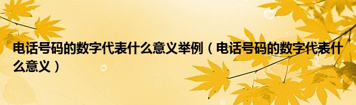 电话号码的数字代表什么意义举例（电话号码的数字代表什么意义）