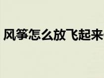 风筝怎么放飞起来作文（风筝怎么放飞起来）