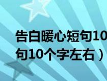 告白暖心短句10个字左右女生（告白暖心短句10个字左右）