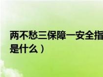 两不愁三保障一安全指的是什么（一达标两不愁三保障指的是什么）