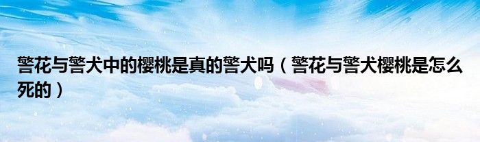 警花与警犬中的樱桃是真的警犬吗（警花与警犬樱桃是怎么死的）