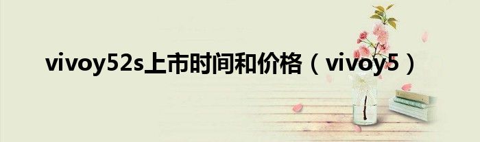 vivoy52s上市时间和价格（vivoy5）