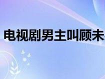 电视剧男主叫顾未易（顾末易是什么电视剧）