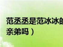 范丞丞是范冰冰的兄弟吗（范丞丞是范冰冰的亲弟吗）